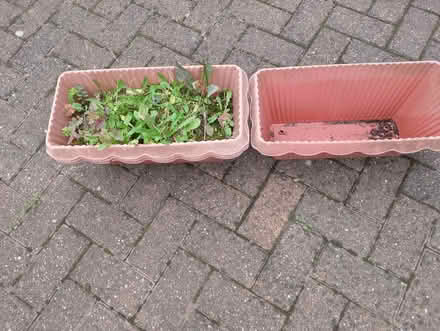 Photo of free Long plastic planters (Hutton CM13) #1