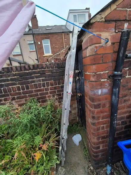 Photo of free A very unsturdy ladder (S2 Highfield) #2