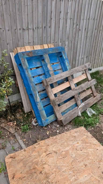 Photo of free 4 pallets (Coventry CV2) #1