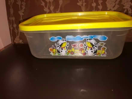 Photo of free Plastic container with lid (South Loop) #1