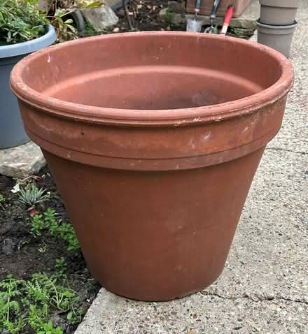 Photo of free Terracotta planter (Tooting SW17) #1