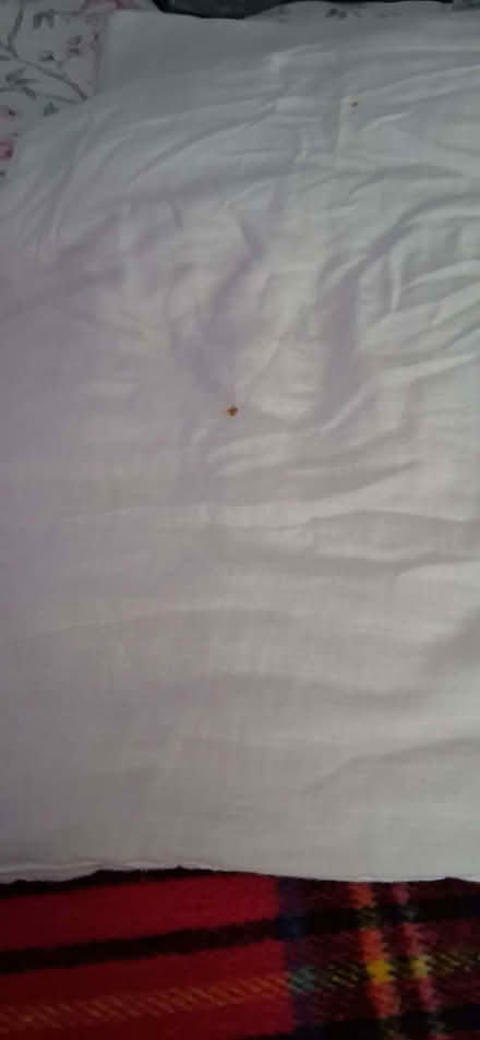 Photo of free double duvet used does need washing or recovering (Wigmore LU2) #2