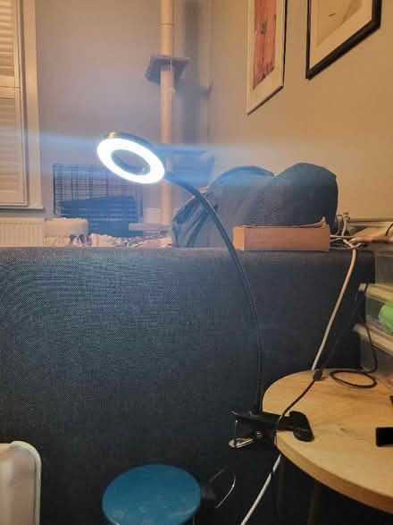 Photo of free USB clamp adjustable light (West Croydon CR0) #2