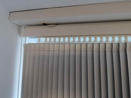 Photo of free Vertical blinds (S1 4EX) #1