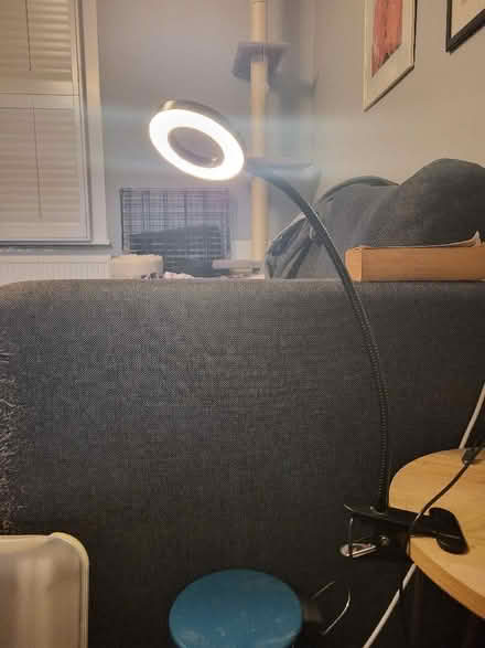Photo of free USB clamp adjustable light (West Croydon CR0) #1