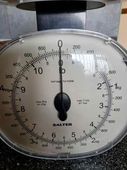Photo of free Salter scales (Old Catton) #1