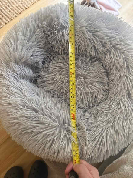 Photo of free Cat / kitten bed (Carshalton) #3