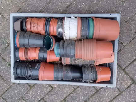 Photo of free Plastic plant pots (Hutton CM13) #1