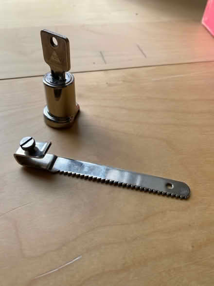 Photo of free Vivarium lock (Dorking Town Centre RH4) #2