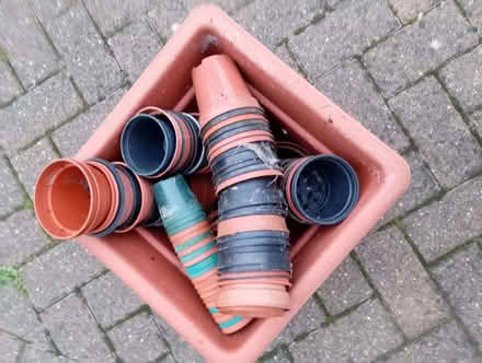 Photo of free Plastic plant pots (Hutton CM13) #2