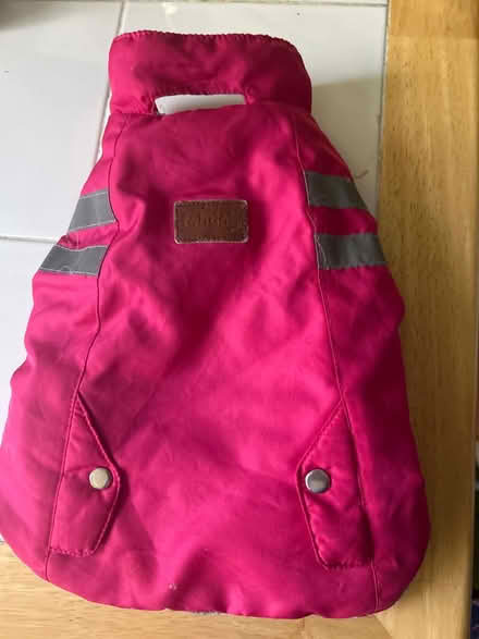 Photo of free Small dog coat (10011 (17th & 9th)) #1