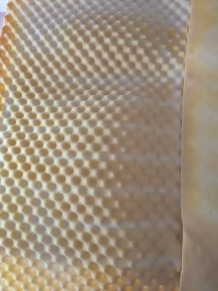 Photo of free Matress Topper (Ascot) #1