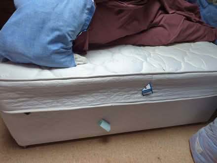 Photo of free King-size Divan (Sherwood TN2) #1