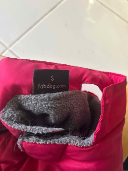 Photo of free Small dog coat (10011 (17th & 9th)) #3