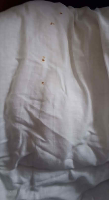 Photo of free double duvet used does need washing or recovering (Wigmore LU2) #1