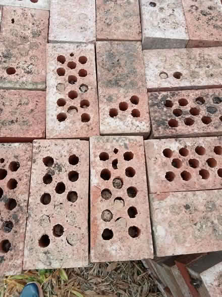 Photo of free 215 cleaned bricks (Frankwell SY3) #1