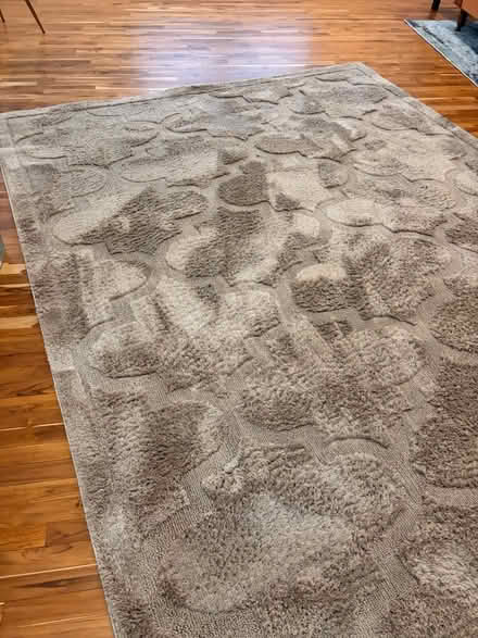 Photo of free Area rug 8x10 (Mount Rainier) #1