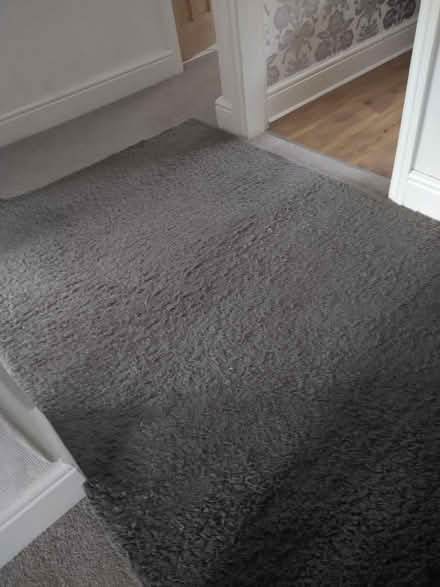 Photo of free Grey rug (WA4) #3