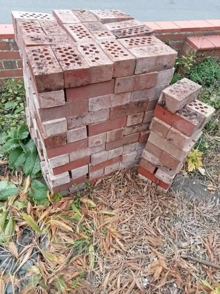 Photo of free 215 cleaned bricks (Frankwell SY3) #2