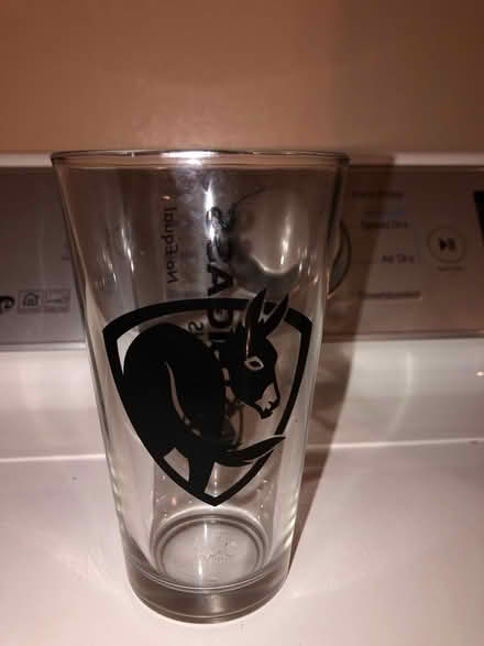 Photo of free Donkey cup (South Loop) #1