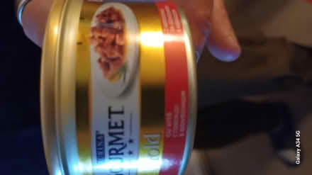 Photo of free 3 small tins cat food (HP3) #1