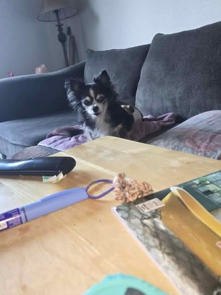 Photo of free Table great condition (Howell, MI) #4