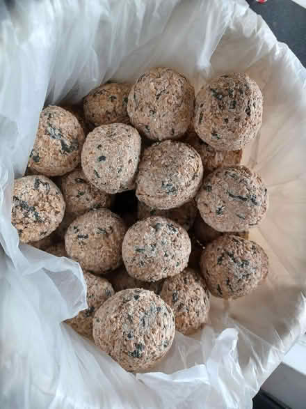 Photo of free Fat balls (Bramfield SG14) #1