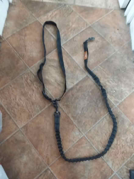 Photo of free Hands-free dog lead (Fords Farm RG31) #1