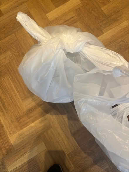 Photo of free 2 bin liners of dog kibble (Stranmillis, Belfast, BT9) #2