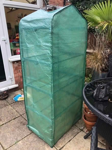 Photo of free Small greenhouse (Kidderminster DY10) #3