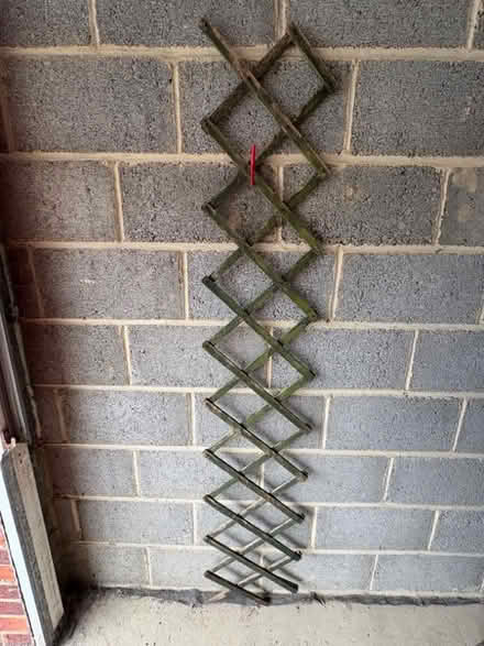 Photo of free Expandable Trellis (Willington DL15) #1