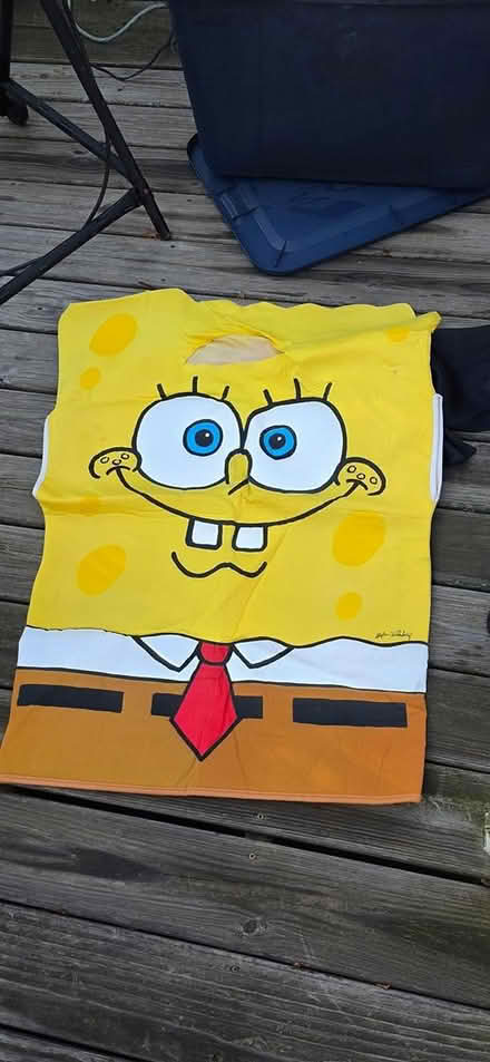 Photo of free Halloween Costumes etc (Stoneham MA) #2