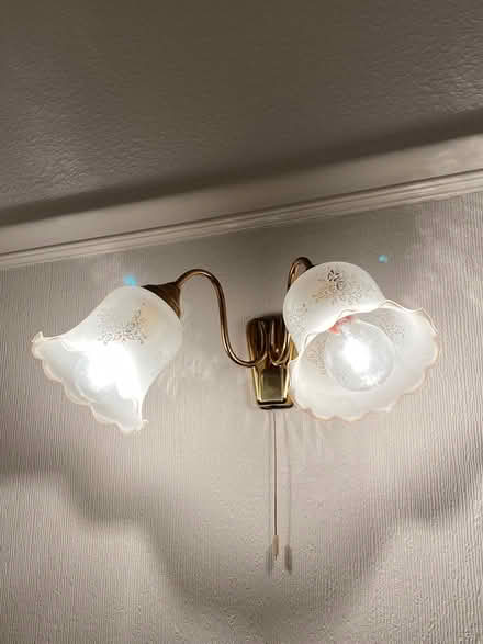Photo of free Wall lights twin shade (Croxteth L12) #3