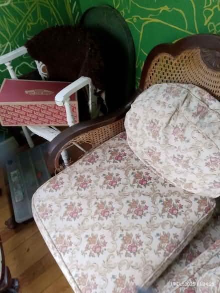Photo of free Three piece Bergere (Round Hill BN2) #4