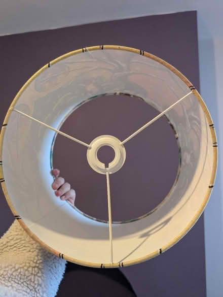 Photo of free Beautiful child's lampshade (Stirchley) #2