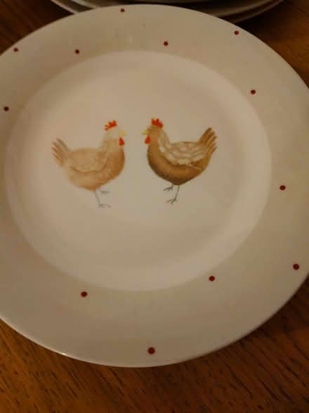 Photo of free Crockery (Denholme BD13) #2