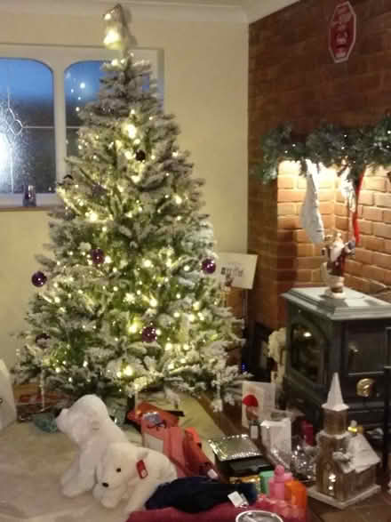 Photo of free Quality 7 ft Alpine Snow Christmas Tree (Hempstead Valley ME8) #1