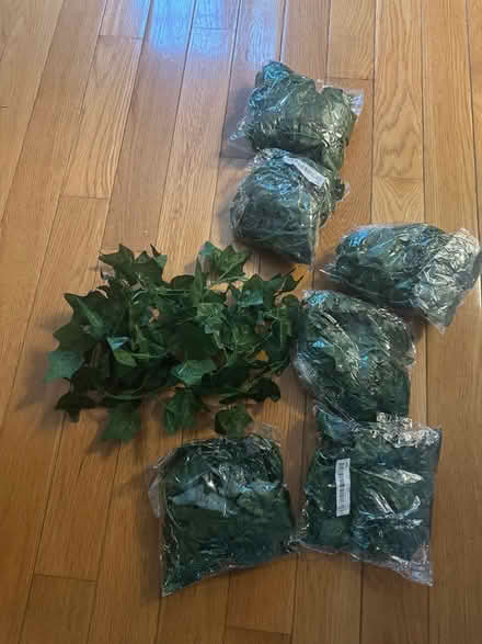 Photo of free Fake Ivy vines (Fairlington/ Shirlington area) #1