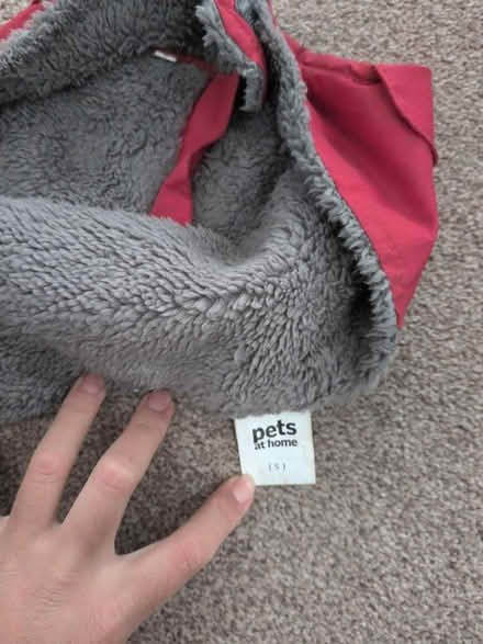 Photo of free Dog coat (Headington OX3) #2