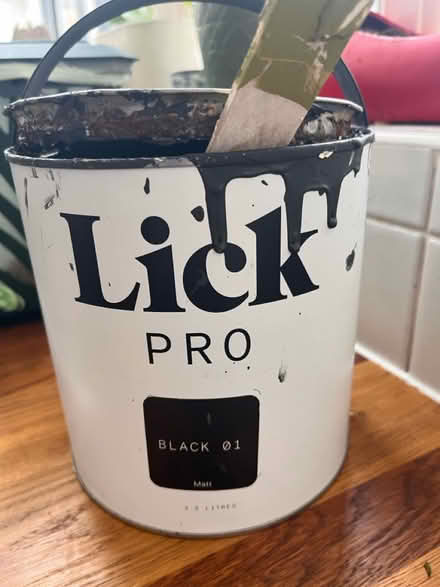 Photo of free Used pots of paint (Pen-y-Lan CF23) #2