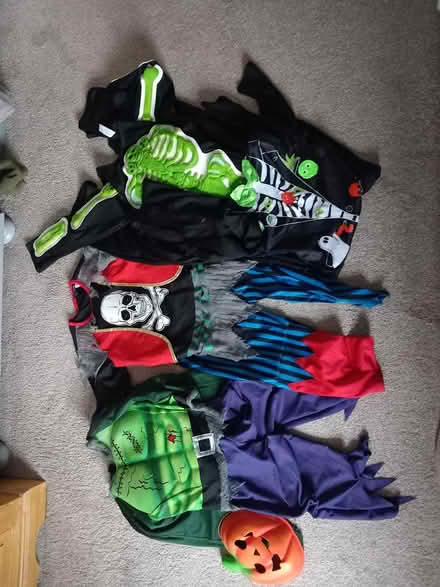 Photo of free Halloween costumes (Wolverley DY11) #1