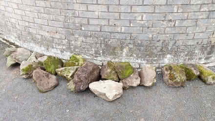 Photo of free Rockery stone (Oxenholme LA9) #2