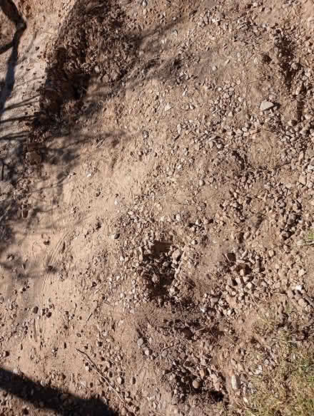 Photo of free fill dirt/gravel (Crestview Bluff) #3