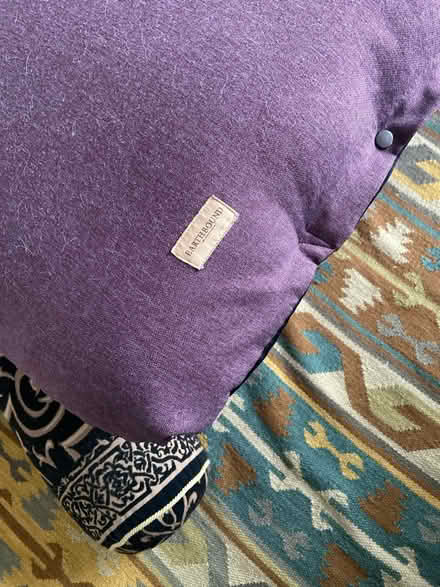 Photo of free Large soft dog mattress (Barnes) #2