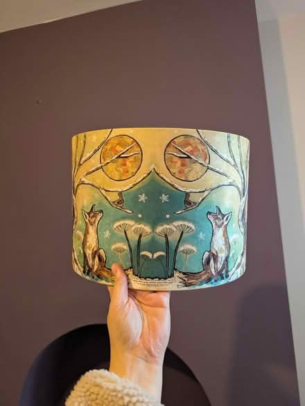 Photo of free Beautiful child's lampshade (Stirchley) #3