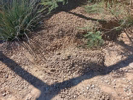 Photo of free fill dirt/gravel (Crestview Bluff) #2