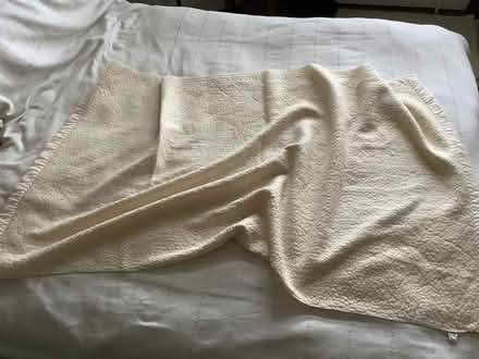 Photo of free Single fleecy under blanket (Bear Flat) #1