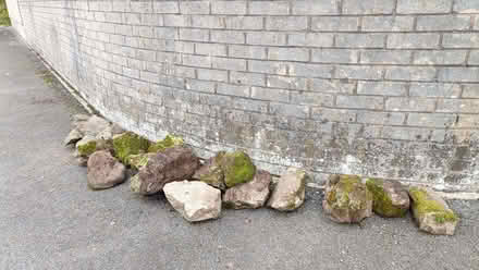 Photo of free Rockery stone (Oxenholme LA9) #1