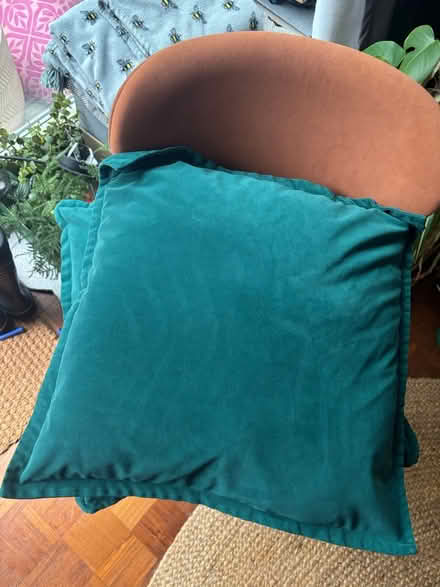 Photo of free 2 x Green Velvet throw cushions (SL6 Maidenhead) #1