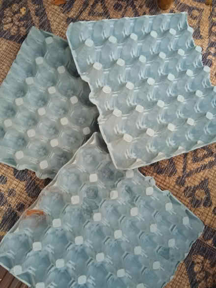 Photo of free Egg Trays (Leighton buzzard LU7) #1
